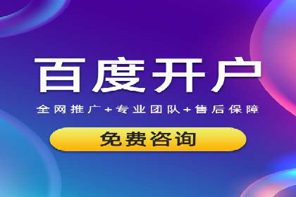 提升转化率：SEM竞价广告案例解析