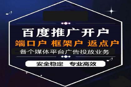 SEM运营策略案例分析
